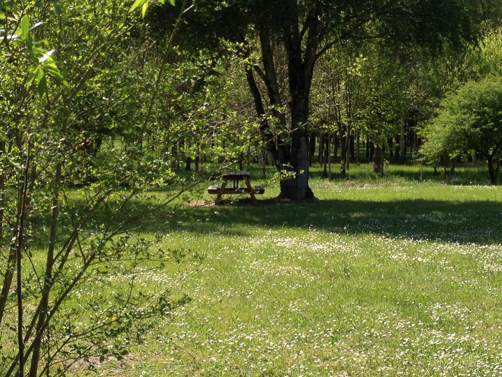 拉玛热勒住宿加早餐旅馆 Avrillé-les-Ponceaux 客房 照片