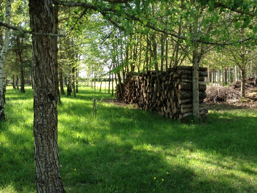 拉玛热勒住宿加早餐旅馆 Avrillé-les-Ponceaux 客房 照片