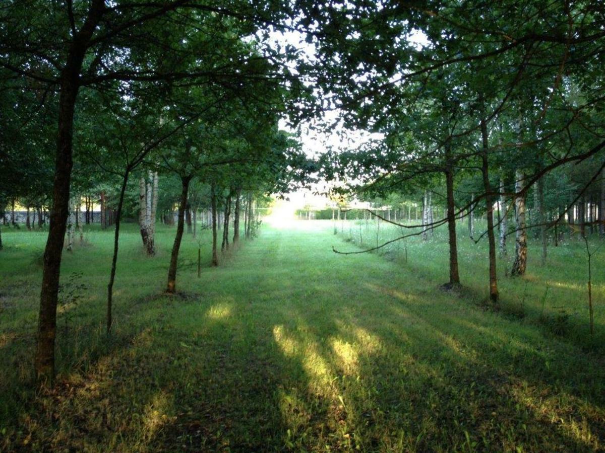 拉玛热勒住宿加早餐旅馆 Avrillé-les-Ponceaux 外观 照片