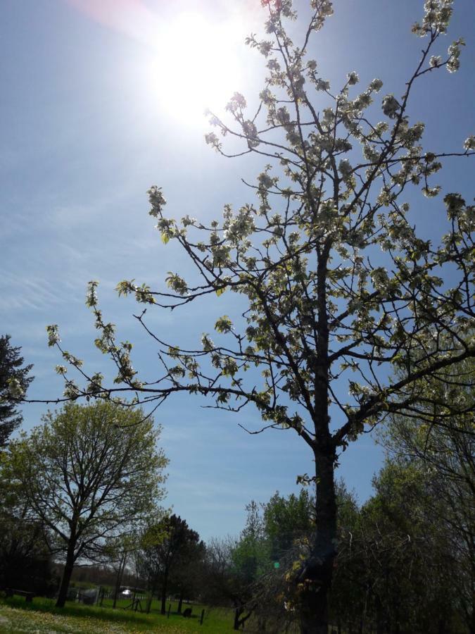 拉玛热勒住宿加早餐旅馆 Avrillé-les-Ponceaux 外观 照片