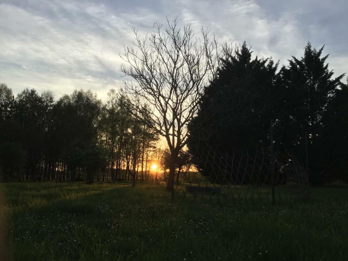 拉玛热勒住宿加早餐旅馆 Avrillé-les-Ponceaux 外观 照片